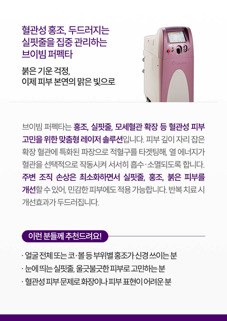 4-1_브이빔_설명m